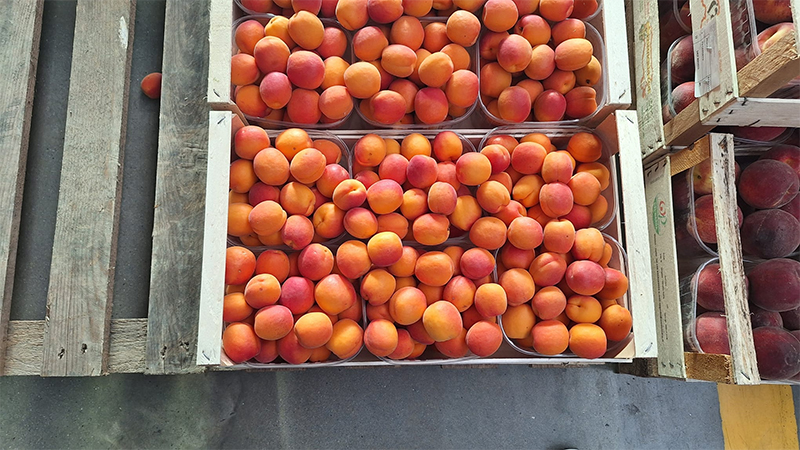 Albicocche locali cal. 40+ - 2/3 euro al chilo